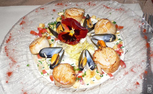 Le Saint Ex - Scallops salad