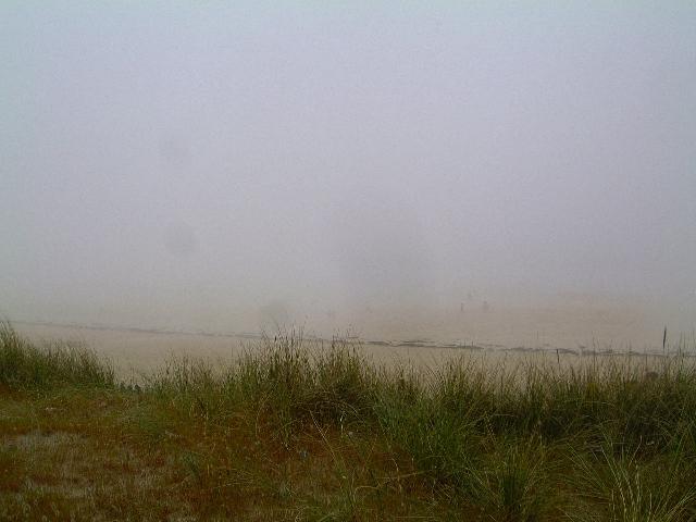 La plage de Sables d'Or les Pins