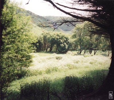 Countryside - Campagne