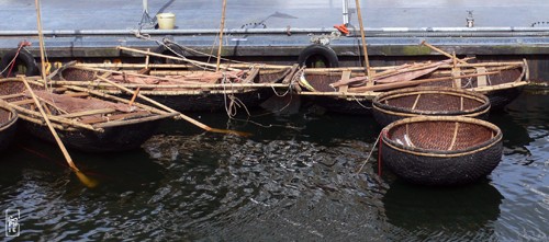 Vietnamese boats - Bateaux vietnamiens