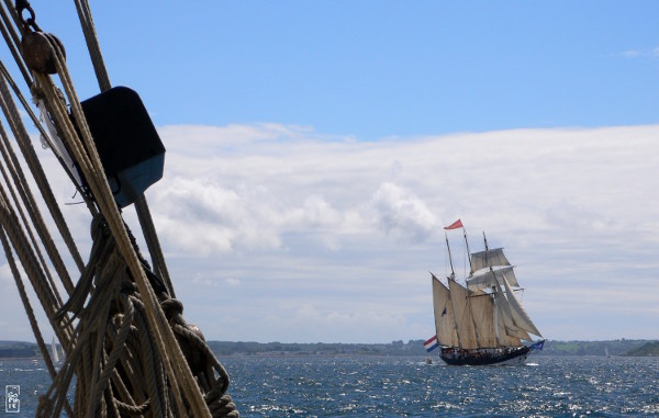 Oosterschelde