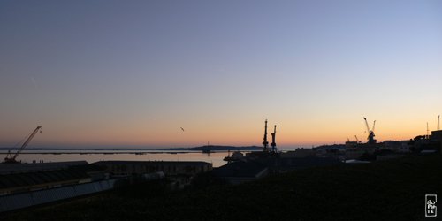 Silhouettes of cranes - Silhouettes de grues