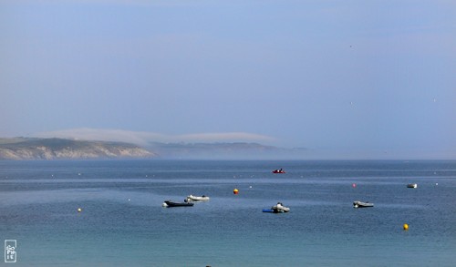 Veil of fog - Voile de brouillard