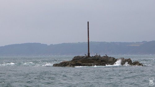 La Cormorandière