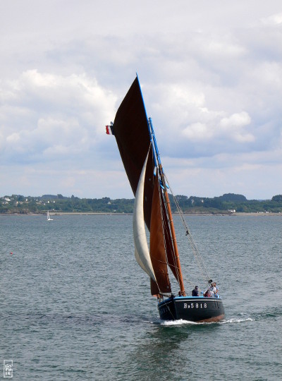 François Monique