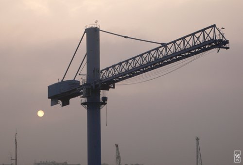 Crane and sun - Grue et soleil