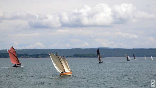 Regatta - Régate