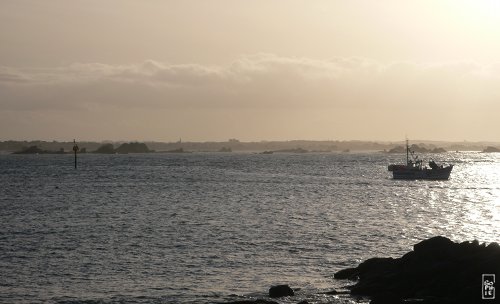 Batz island - Île de Batz