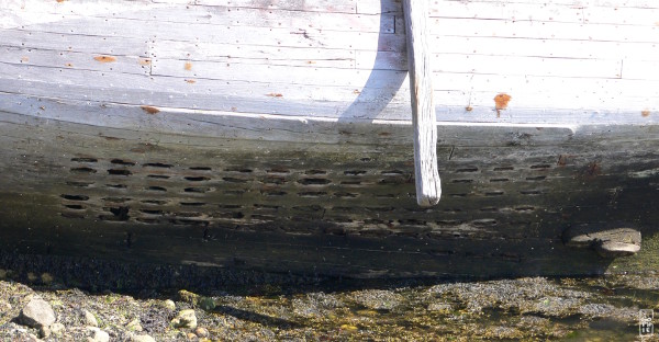 Spiny lobster fishing boat hull - Coque de langoustier