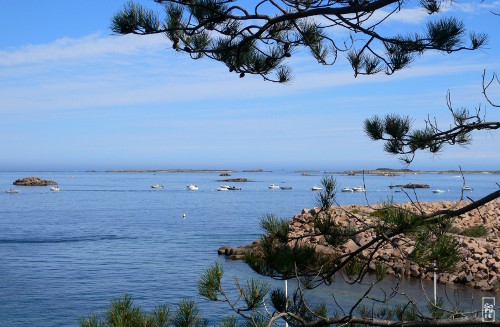 Rocks in clear water - Rochers dans l’eau claire