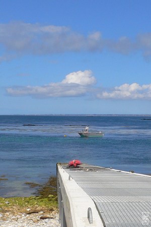 Boat - Bateau