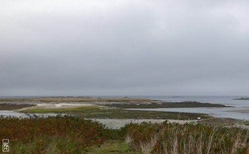 Lédénes island - Île Lédénes