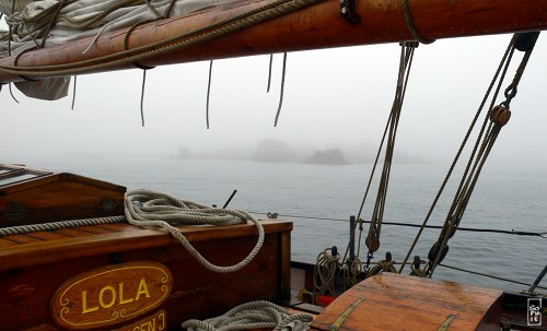 Shore in the fog - Côte dans le brouillard