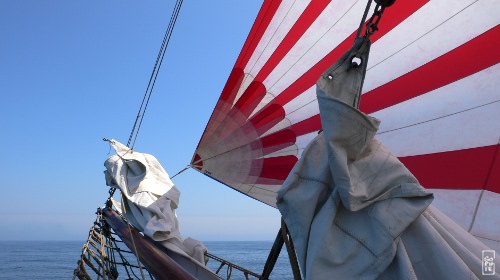 Spinaker on Lola of Skagen - Spinaker sur Lola of Skagen