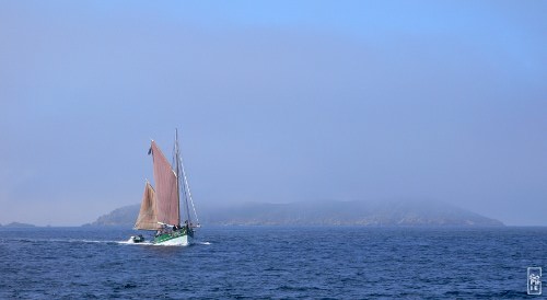 Sant C’hireg coming back from the Sept-Îles - Sant C’hireg de retour des Sept-Îles