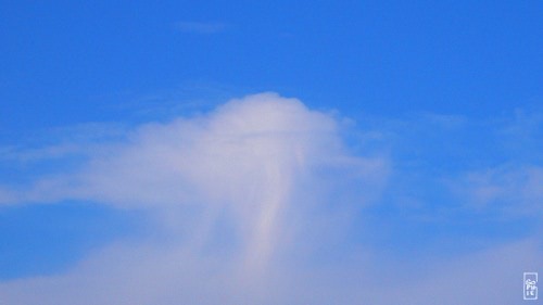 Virga