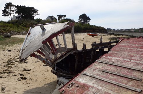 Abandoned boats - Bateaux abandonnés