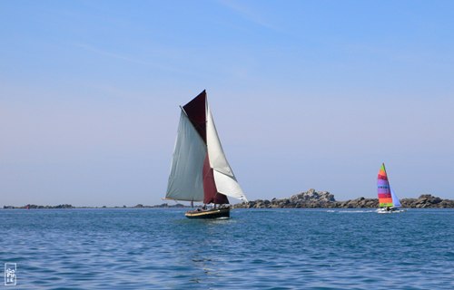 Old gaffer - Vieux gréement