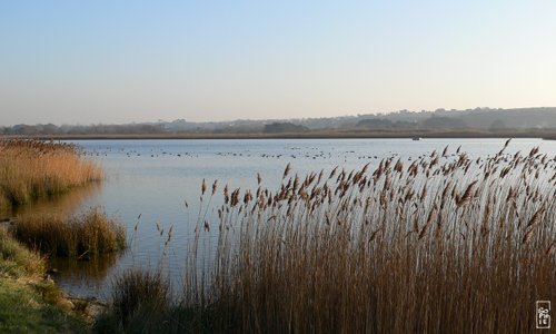 Curnic pond - Étang du Curnic