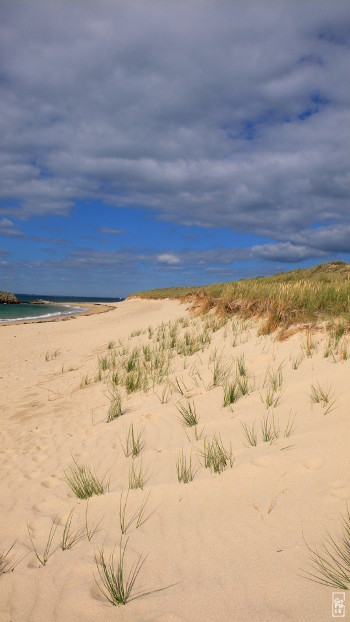 Houat island beach - Plage de l’île d’Houat