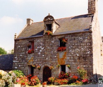 House - Maison