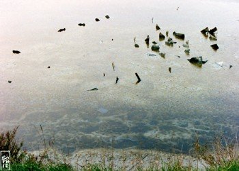 Saltworks - Marais salant