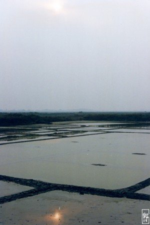 Saltworks - Marais salant