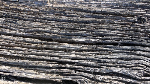 Weather-worn wood - Bois vieilli par le temps