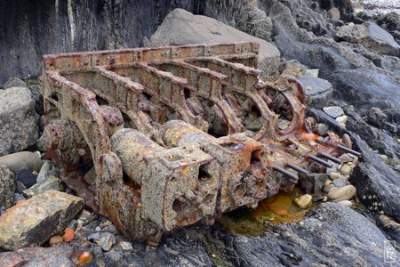 Beached object - Laisse de mer