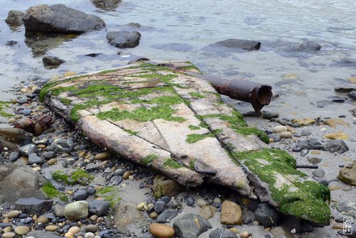 Beached object - Laisse de mer