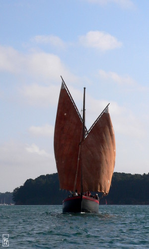 Sailing downwind - Au vent arrière