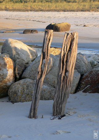 Tressény bay - Baie de Tressény