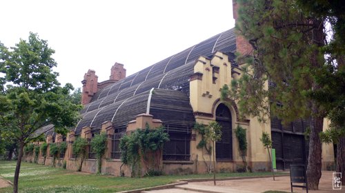 Cool greenhouse - Serre fraîche