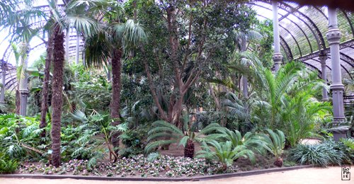 Cool greenhouse - Serre fraîche