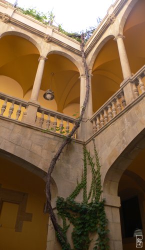 Courtyard - Cour intérieure