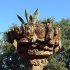 Parc Güell