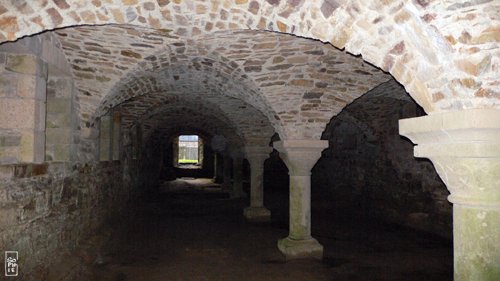 Cellar - Cellier