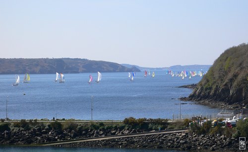 Ships on a regatta - Bateaux en régate