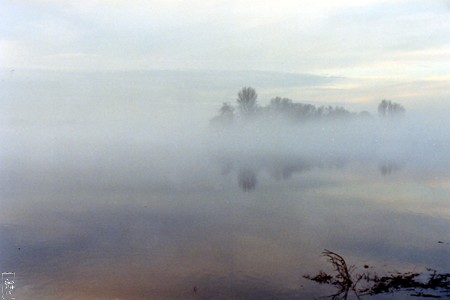 Loire Brumeuse