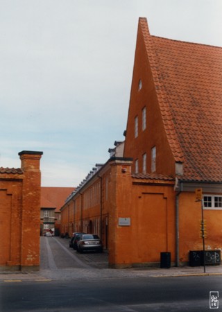 Shades of ochre - Nuances d’ocre