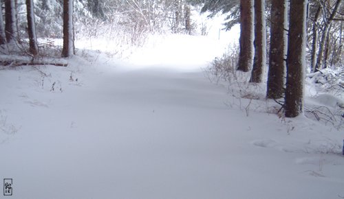 Unspoilt snow - Neige fraîche