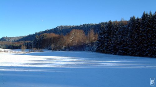 Blue shadow - Ombre bleue