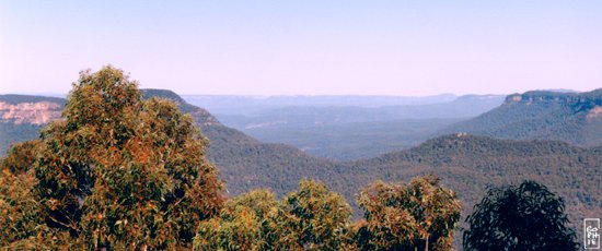 Blue Mountains - Montagnes Bleues