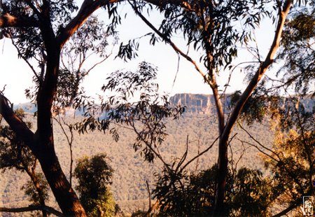 Blue Mountains - Montagnes Bleues