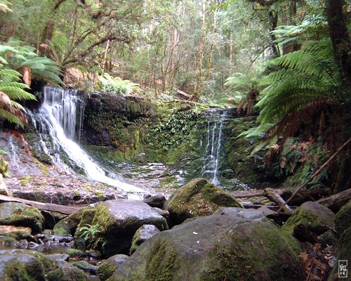 Horseshoe falls