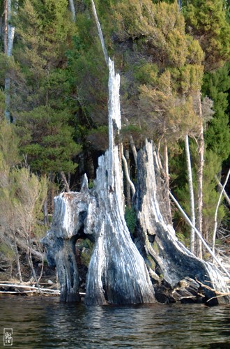 Lake Rosebery - Lac Rosebery