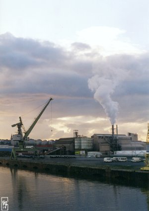 Clouds factory - Usine à nuages